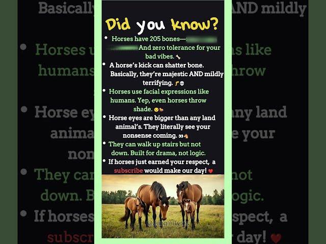 Horse Facts You’ve NEVER Heard Before!  #facts #animal #didyouknow #animalfacts #horse #horses