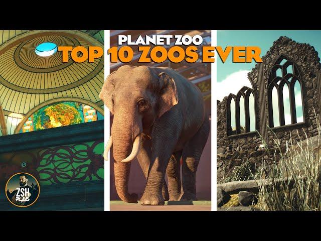 10 BEST ZOOS EVER! | Planet Zoo Best Zoos