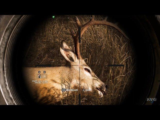 Far Cry 5 - Hunting White Tailed Deers - Open World Free Roam Gameplay (PC HD) [1080p60FPS]