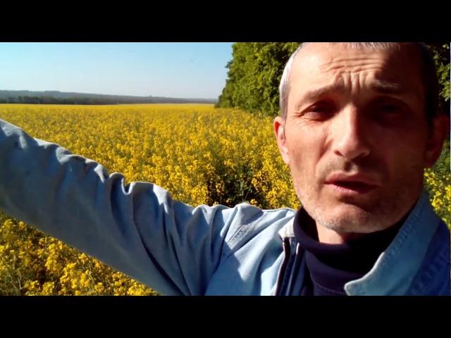 Моя пасека. Быт пасечника. На кочевой Пасеке.
