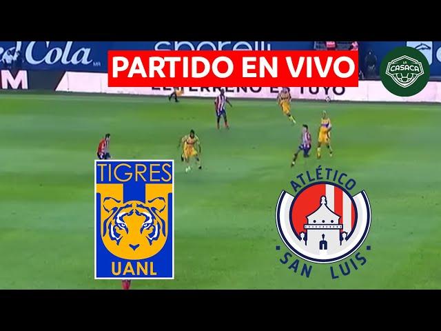  TIGRES vs ATLÉTICO SAN LUIS EN VIVO  LIGA MX - CUARTOS DE FINAL - VUELTA