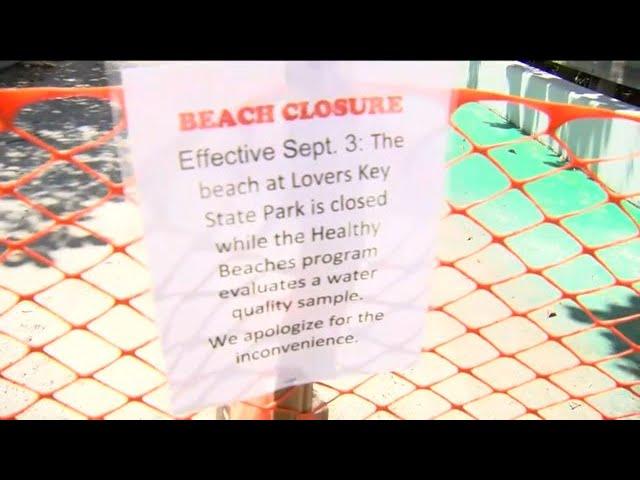 Lovers Key State Park beach closed due to water contamination
