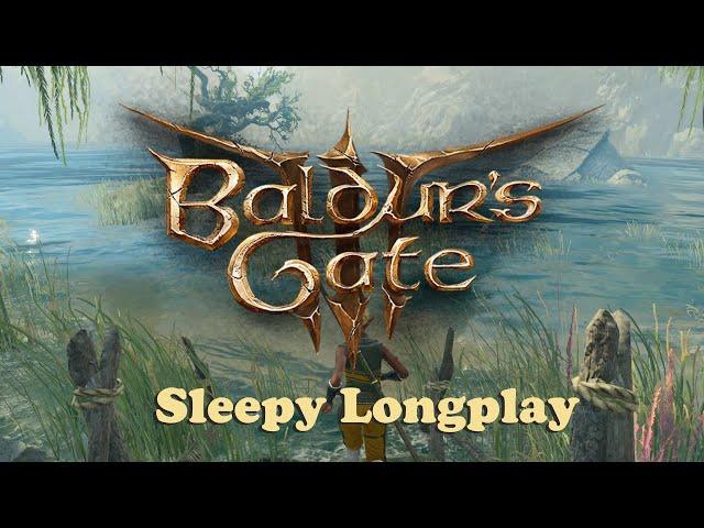 Baldur's Gate 3 Longplay: Act 1  Half-Elf Monk  Virtual Dungeons & Dragons (No Commentary )