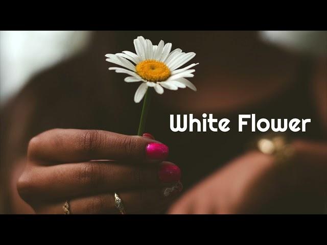 tubebackr - White Flower