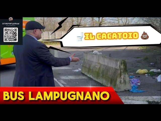 BUS LAMPUGNANOIL CACATOIO 