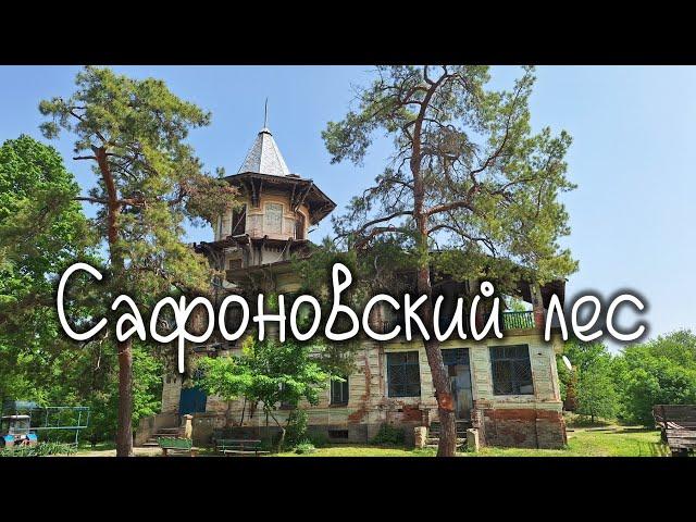 Экотропа в Сафоновском лесу, Ставропольский край