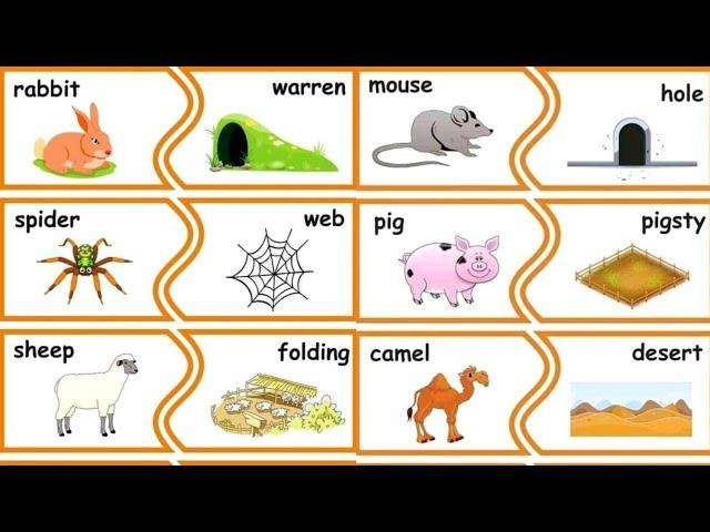 animal home names for kids in english | animal homes in english | animals homes names