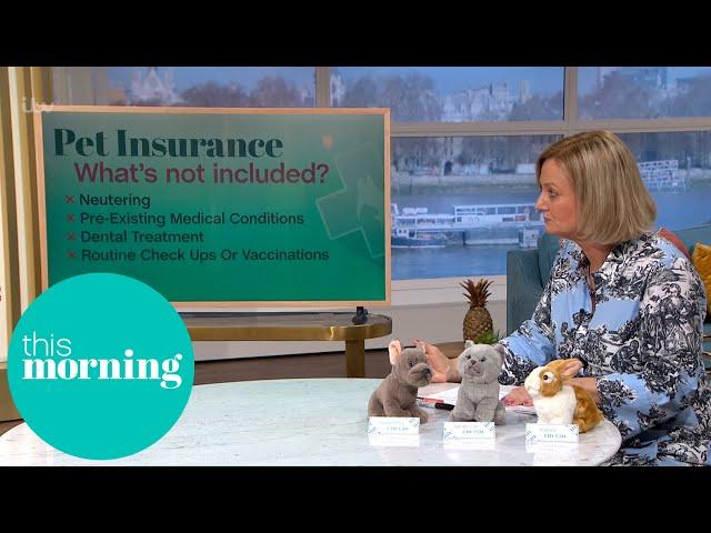 Is Pet Insurance Worth It? | This Morning