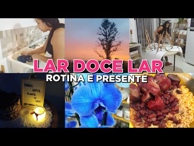 VLOG  ROTINA DO DIA/ GANHEI UMA LINDA ORQUÍDEA/ ESCLARECENDO  DÚVIDAS DE INSCRITOS