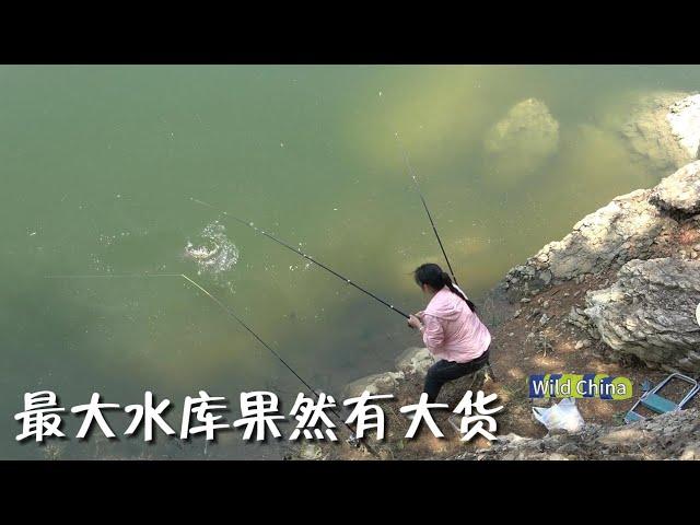 来最大的水库野钓，今天一个钓友都没有，原来正在施工，最后还是上了大货