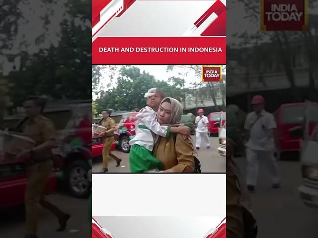 Bali Earthquake Video: Severe Earthquake Jolts Indonesia, 46 Killed #shorts #indonesia