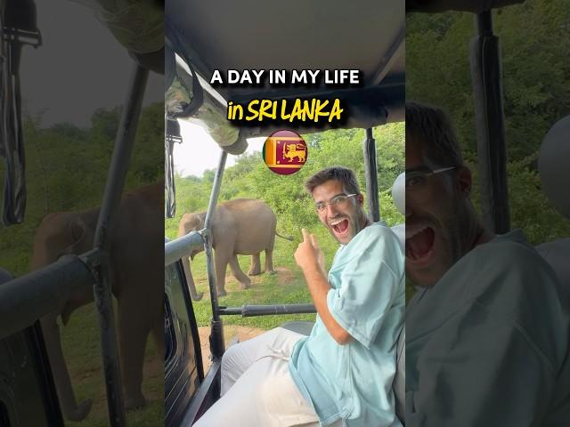 A normal day on my trip to Sri Lanka   #srilanka #travel #vlog