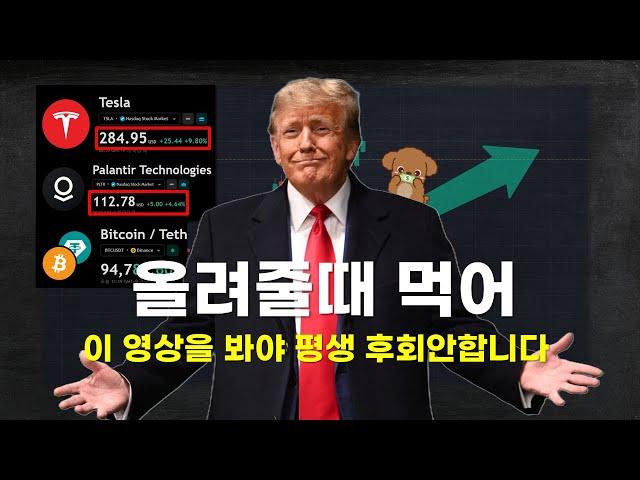 상위 트레이더 투자 쉽게 하는법 공유합니다, 올려줄때 드셔요 나스닥 테슬라 엔비디아 팔란티어