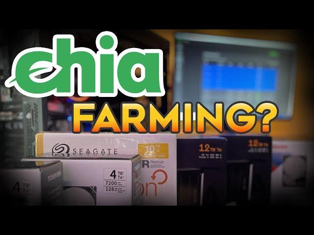 Should I Farm Chia Crypto (XCH)? Beginner Strategies, Pools, Hard Drives, SSD's and Budget Plotter