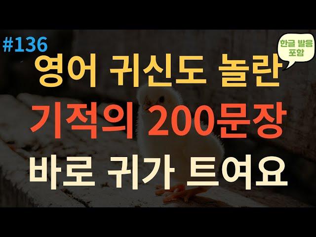 [기초영어회화 #136] 기초영어회화 200문장 | 편안하게 들어요 | 쉽고 짧은 생활영어 200문장