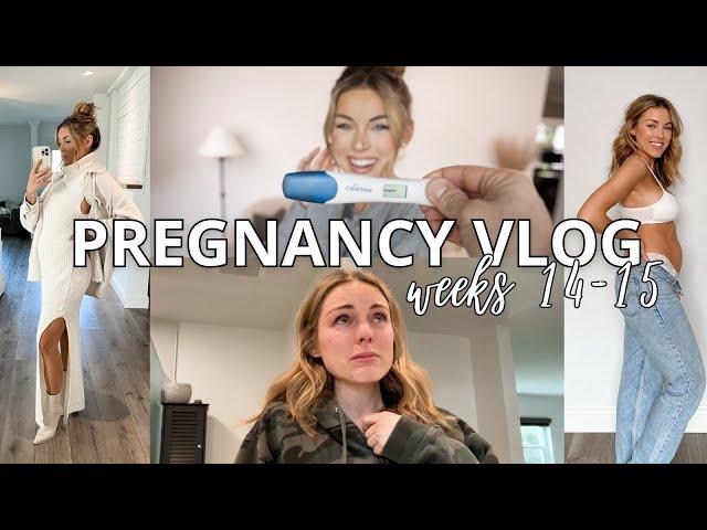 Pregnancy Vlog Wk 14-15 | Genetic Testing Results & Telling Friends... The 2nd Trimester!