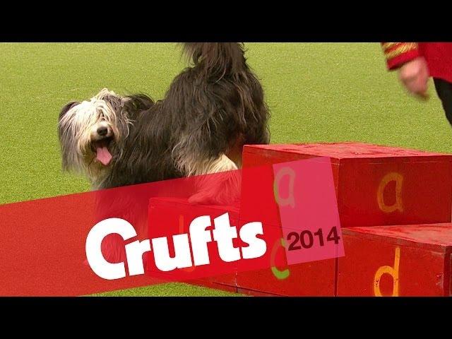 Heelwork to Music Competition | Day Two | Crufts 2014