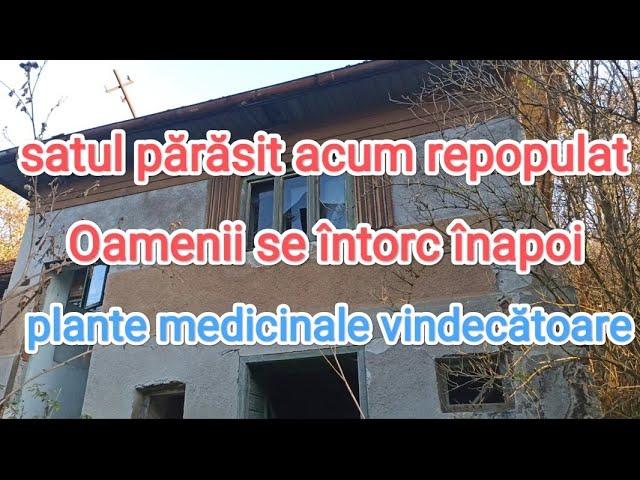 Un sat parasit repopulat/Plante medicinale vindecătoare. Farmacia naturii