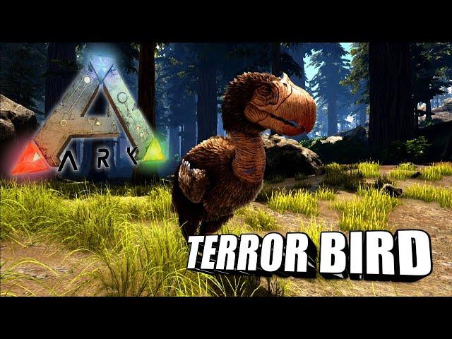 Taming A Terror Bird | Ark Survival Evolved | The Island