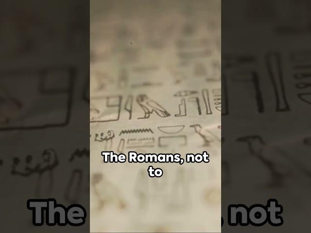From Papyrus to Pixels: Story of Paper #digitaljourney #paper #printing #papyrus #bookmaking