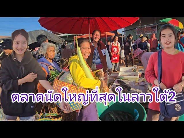 #เที่ยวลาวใต้ ตลาดนัดใหญ่ที่สุดในลาวใต้2 อาหารธรรมชาติ #อาหารตามฤดูกาล #สาวลาว แม่ค้าน่ารัก #food