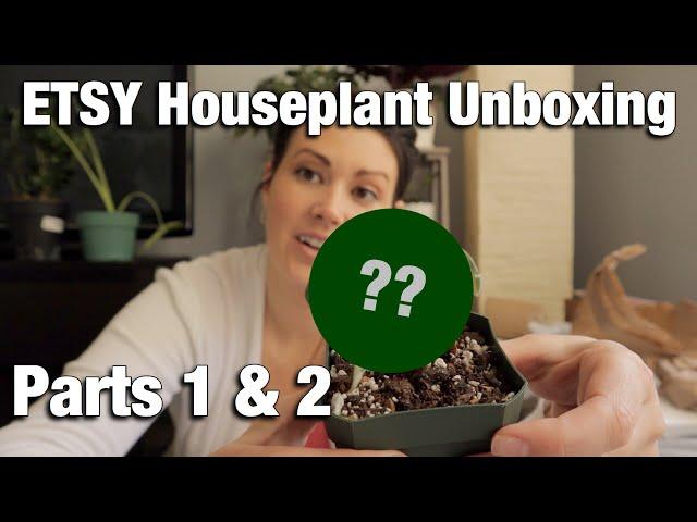 Etsy Unboxing Parts 1 & 2  - House Plant Haul - Cactus and Tropical Plants From Etsy