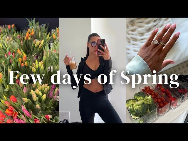 WEEKLY VLOG | few days of spring, getting back into routine, organizing my fridge + grocery haul