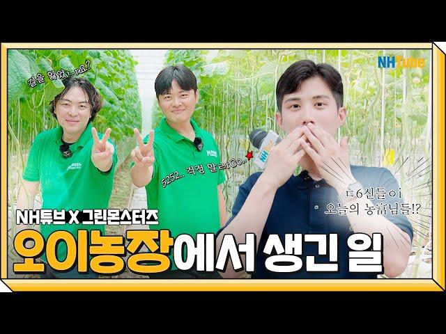 10,000주의 오이 속에서 마주친... 꽃보다 농부님들⁉️ㅣ6시 내농협 그린몬스터즈 편 | NH농협은행 X 그린몬스터즈