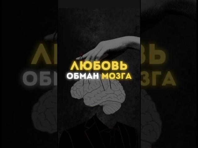 ЛЮБОВЬ - обман мозга …/ читай описание 