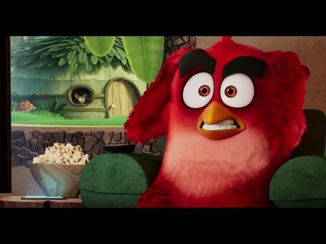 The Angry Birds Movie 2: See Movies on the Big Screen