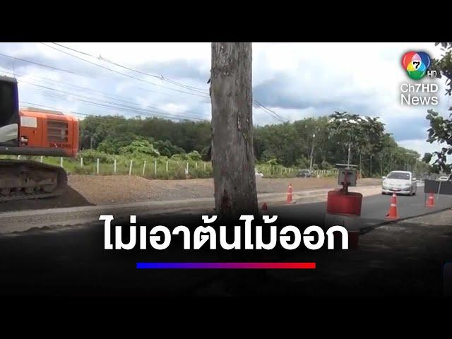 ชาวบ้านสุดงง ! ลาดยางมะตอย แต่ไม่เอาต้นไม้ออก | สนามข่าว 7 สี