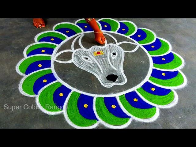 Mattu pongal kolam 2025sankranthi muggulu new designsEasy Basavanna MugguluSuper Pongal rangoli