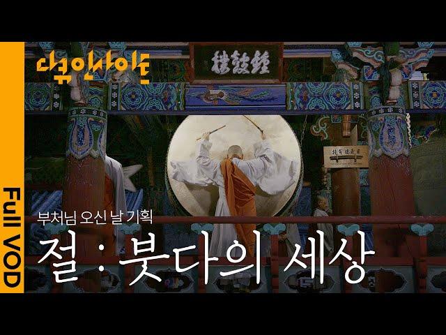 몸과 마음을 정화하는 사색의 공간. 깨달은 자의 세상 속의 뜻과 가르침  | KBS 다큐인사이트 - 절, 붓다의 세상 24.05.16 방송