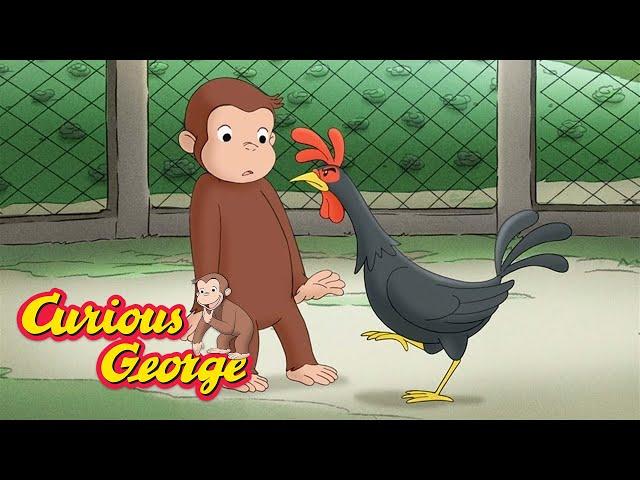 George and the Farm Animals  Curious George  Kids Cartoon  Kids Movies