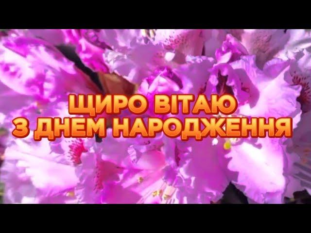 Гарне привітання з днем народження для жінки Привітання українською мовою