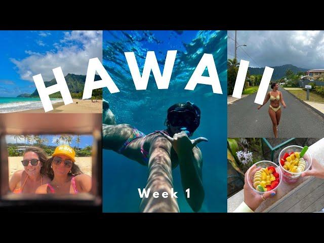 Hawaii Vlog: week 1 {exploring, hiking, snorkeling, beaches, acai bowls, and more!}