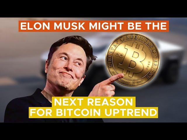 Tesla’s balance sheet seems soon to be converted to Bitcoin| TheCoinRepublic | Crypto