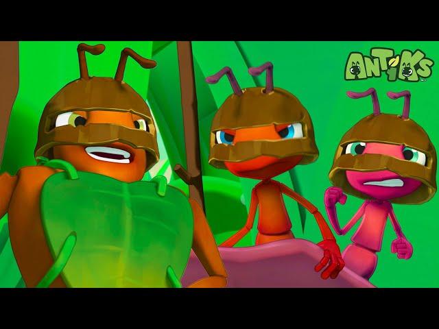 Ants Become GLADIATORS! | Antiks  | Action Cartoons For Kids