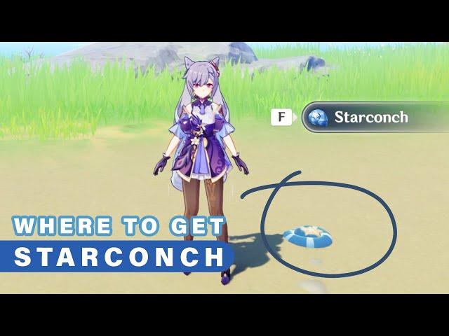 Where to Find STARCONCH | ALL Locations  ► Genshin Impact