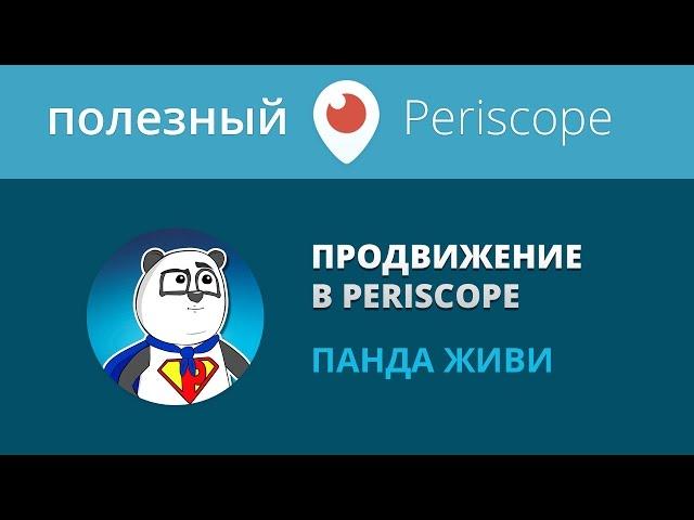 Продвижение в перископе / Раскрутка перископ / панда