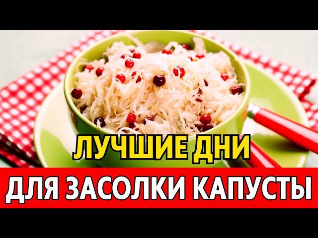 В МАРТЕ 2024 - когда солить капусту, чтобы была очень вкусной. Лучшие даты по лунному календарю