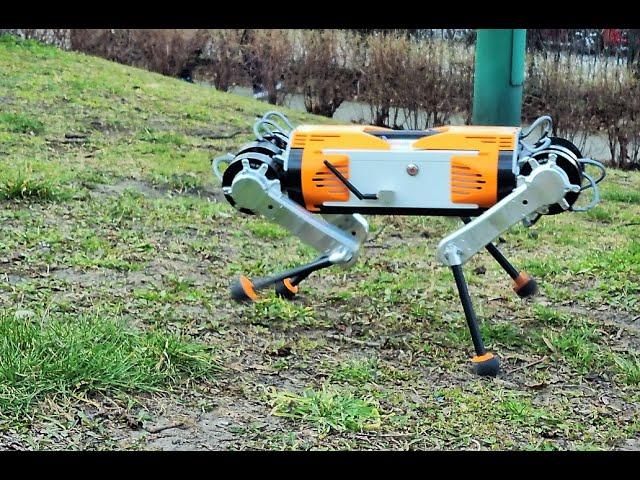 MAB Robotics - Honey Badger legged robot