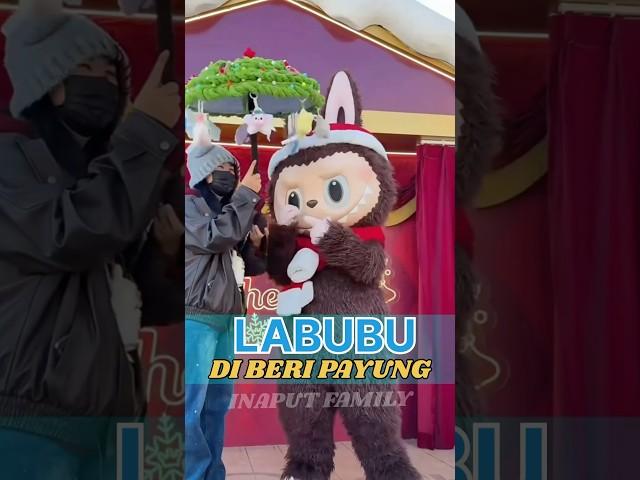 Labubu Di Beri Payung Fansnya #shorts