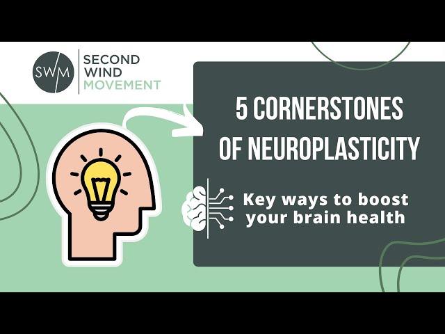 5 Cornerstones of Neuroplasticity