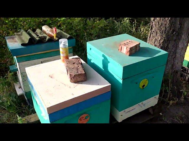 Аэрозоль для обработки пчёл, контроль осыпи клеща