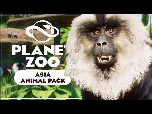 Asia Animal Pack Announcement Trailer | 7 New Animals + Free Update 1.20 Reveal! | Planet Zoo DLC