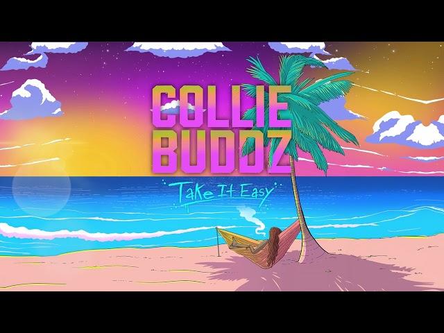 Collie Buddz - Money Up (ft. Keznamdi)