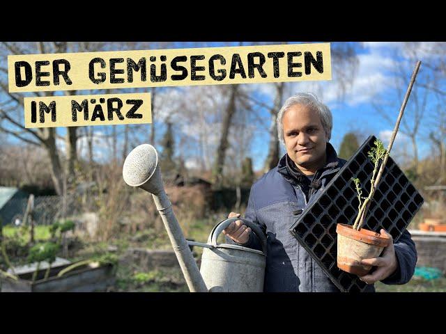 Aussaaten und Gartenarbeiten im März im Gemüsegarten. Tipps für die Selbstversorgung im Frühjahr.