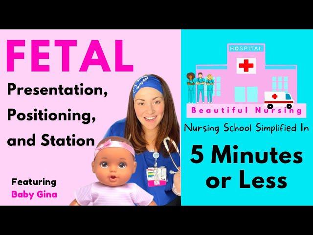  Fetal Positions, Presentation, & Station  Explained in 5 Minutes or Less