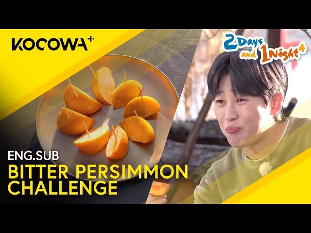 DinDin & Cho Sae Ho Experience The Pain Of Unripe Persimmons | 2 Days And 1 Night 4 EP252 | KOCOWA+